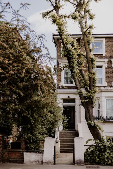 A three-storey residential property with a brick façade and white window frames, situated on a tree-lined street in Chiswick. The house features a black front door accessed by a short flight of concrete steps, with white concrete boundary walls and a small garden area at the entrance. A large tree with leaning branches partially obscures the front of the building, and neighboring greenery includes tall trees and bushes on the pavement. The scene is captured in natural daylight, with some branches extending into the frame, emphasizing the property's location within a leafy suburb. This image reflects typical elements of home relocation and moving logistics, such as the house’s appearance, surrounding greenery, and setting for furniture transport and packing activities, with [COMPANY_NAME] likely involved in the process of house removals in the area.